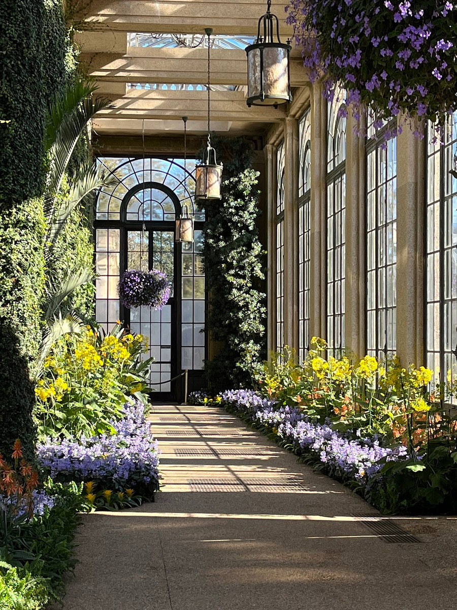 10 Historical Gardens and Their Influence on Interior Design Trivia Qu ...
