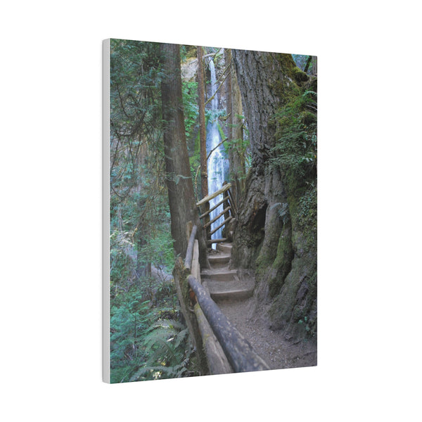 Wooded Trail Waterfall Hiking Art Canvas Print 4 Sizes Ecofriendly
