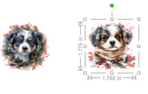 Two puppies with measurements on a white background