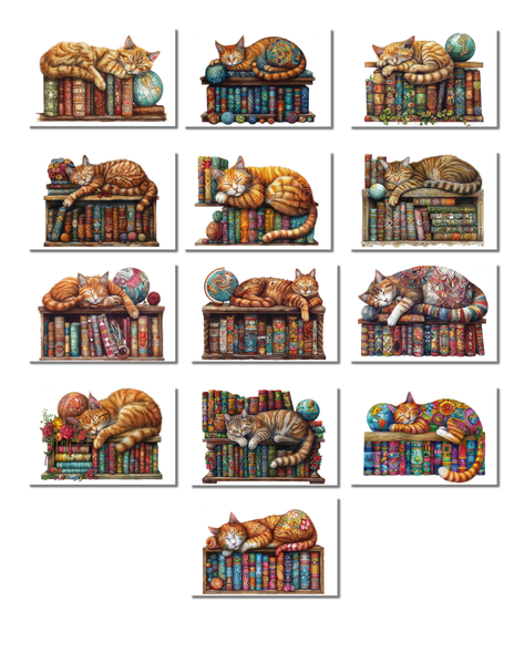 13 Cat on Bookshelf Art Notecards All Occasion 4x6 with Envelopes Blank Folded