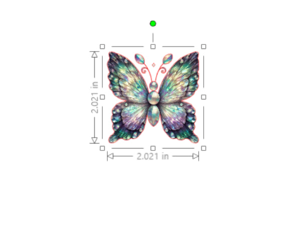 Butterfly design with measurements on a white background