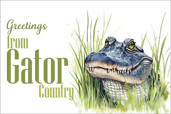 Greetings from Gator Country Greeting Card | 4x6 Florida Alligator NoteCard