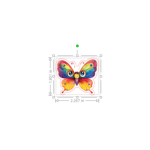 Colorful butterfly illustration with dimensions on a white background