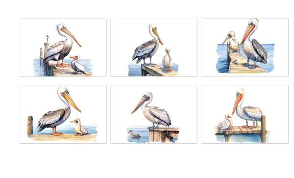 6 Pelicans Notecards All Occasion 4x6 with Envelopes Blank Folded