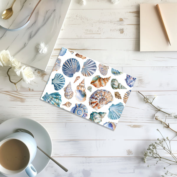 6 Seashells Notecards All Occasion 4x6 with Envelopes Blank Folded