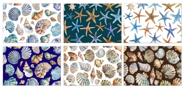 6 Seashells Notecards All Occasion 4x6 with Envelopes Blank Folded
