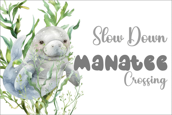 Slow Down Manatee Crossing Blank Notecard Set | Florida Coastal Greeting Cards