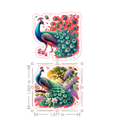 Colorful peacock design with measurements on a white background