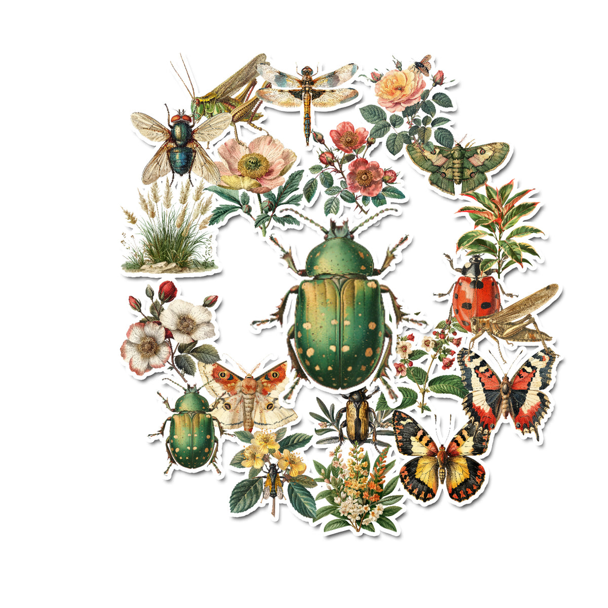 Insect Sticker Scene 10 Insects Handmade Stickers for Laptops, Journals, Notebooks, Scrapbo ...
