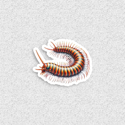 Colorful centipede illustration on a textured gray background