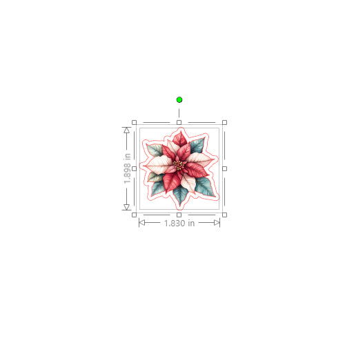 Decorative poinsettia design with measurement details on a white background