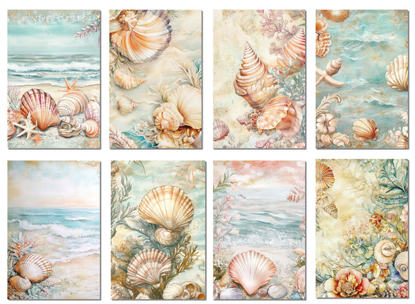8 Seashell Notecards All Occasion 4x6 with Envelopes Blank Folded