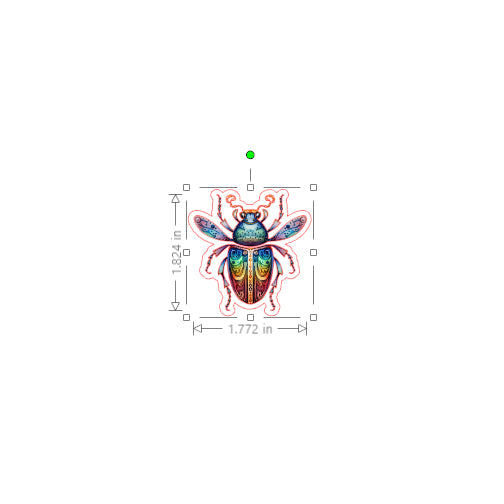 Colorful beetle design with dimensions on a white background