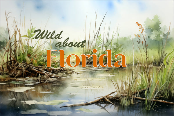 Wild About Florida Blank Notecard Set | Florida Nature Greeting Cards