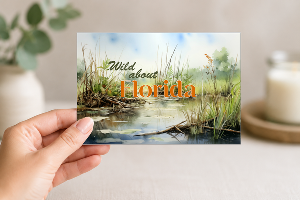 Wild About Florida Blank Notecard Set | Florida Nature Greeting Cards