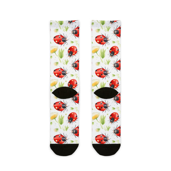 Pair of socks with ladybug pattern on a white background