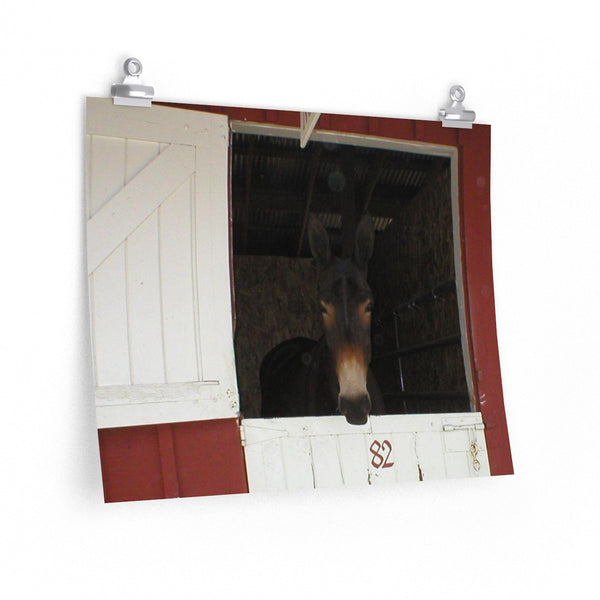 Brown Mule in Barn Poster Print Western Wall Art Home Decor