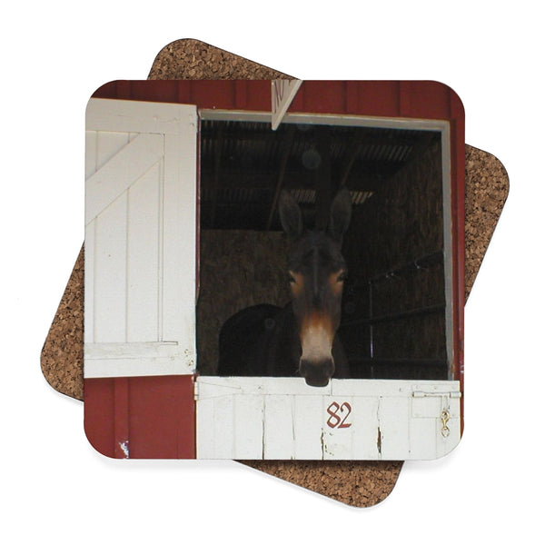 Mule Square Hardboard Coaster Set - 4pcs