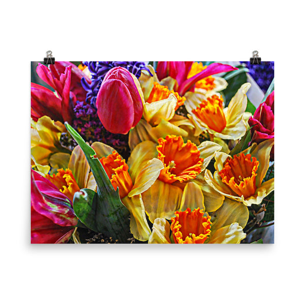 Tulip Fest Floral Poster Print Wall Art Washington State Home Decor 
