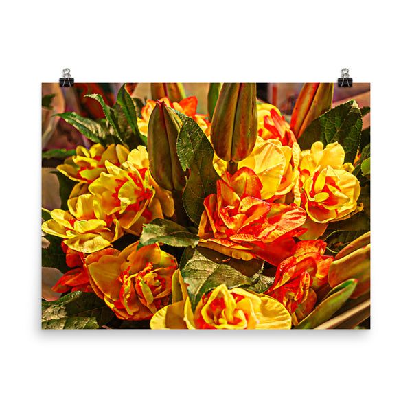 Tulip Fest Floral Poster Print Wall Art Washington State Home Decor 