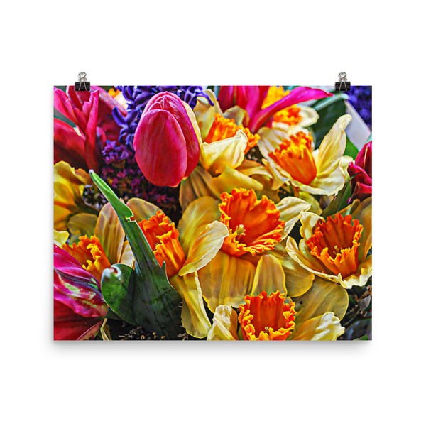 Tulip Fest Floral Poster Print Wall Art Washington State Home Decor 